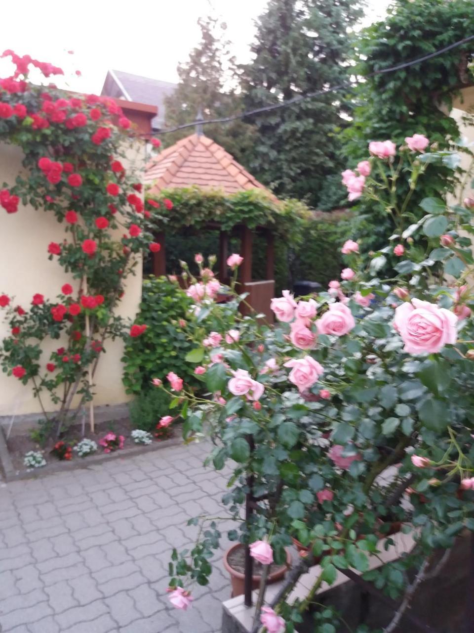 Judit Vendeghaz Hévíz Dış mekan fotoğraf